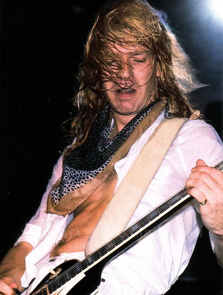 STEVE CLARK GUITAR In Loving Memory