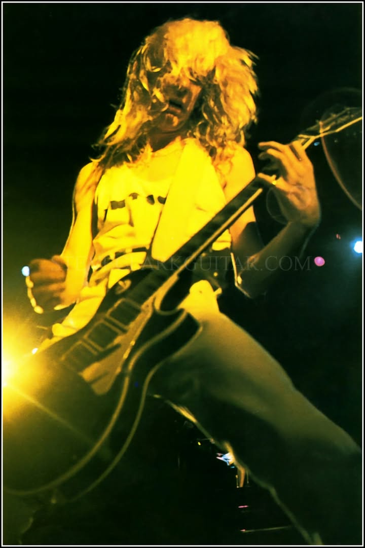 STEVE CLARK GUITAR In Loving Memory
